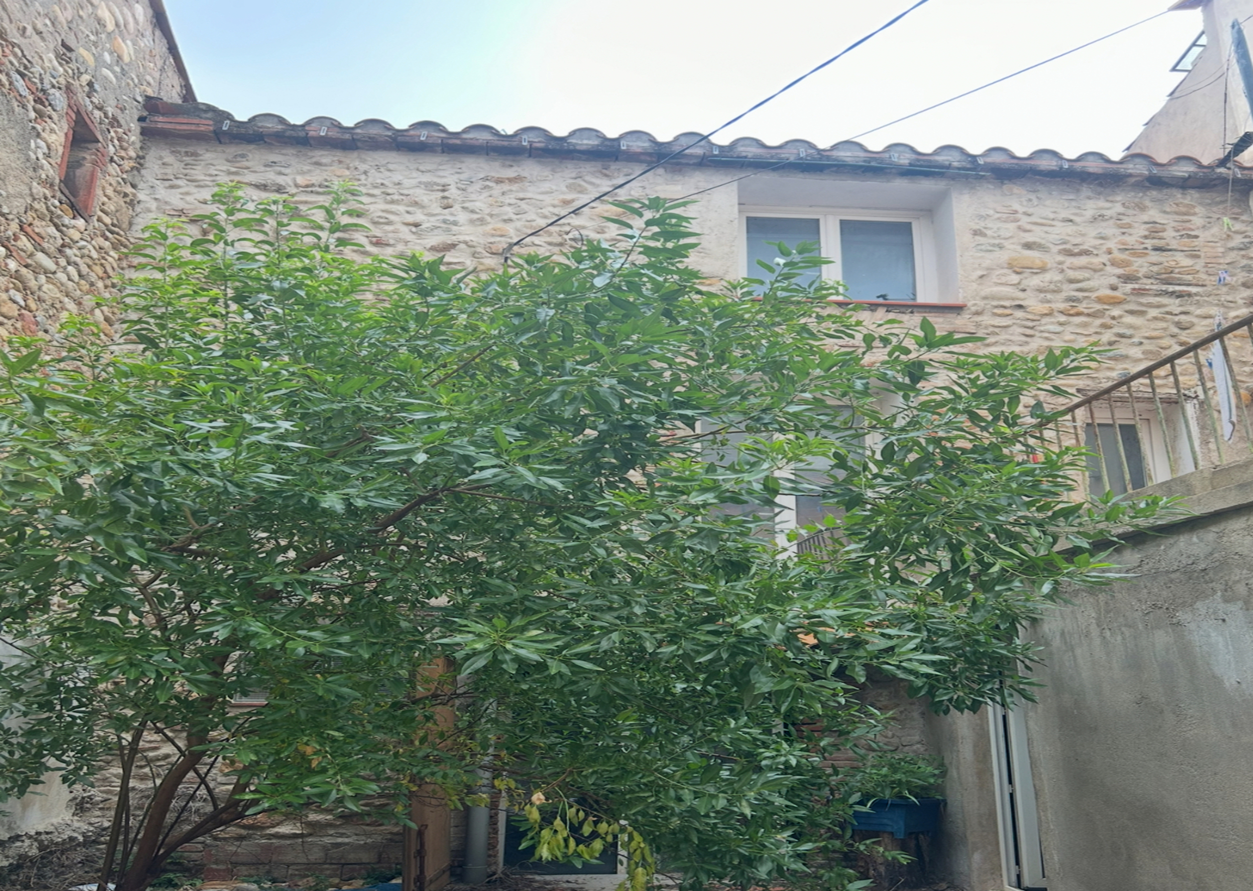 maison le patio a toulouges